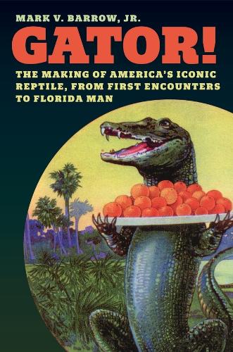 Gator!