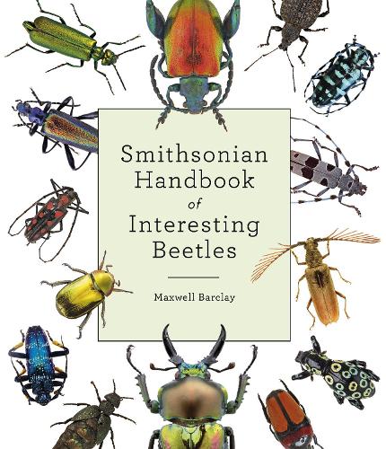 Smithson Handbk Of Interesting