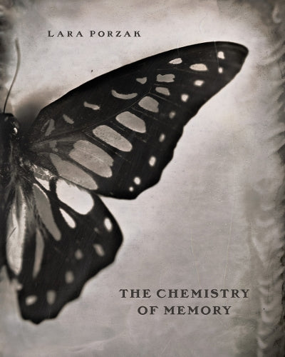 The Chemistry of Memory