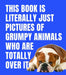 This Book is Literally Just Pictures of Grumpy Animals Who Are Totally Over It