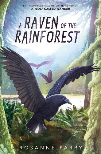 A Raven Of The Rainforest