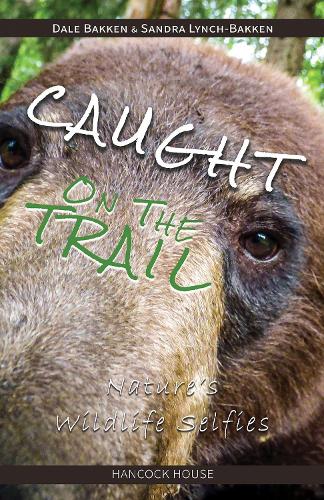 Caught on the Trail