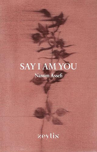 Say I Am You