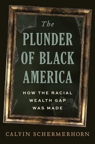The Plunder of Black America