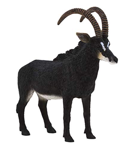 Mojo - Grosse Zobel Antilope