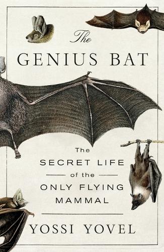 The Genius Bat