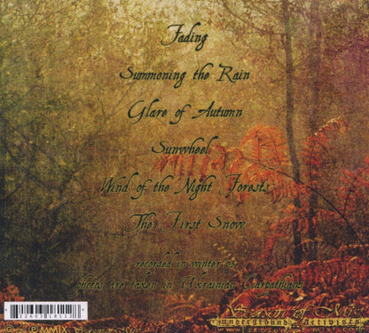 Autumn Aurora