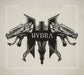 Hydra