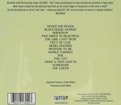 His Fleetwood Mac Years and Beyond Two