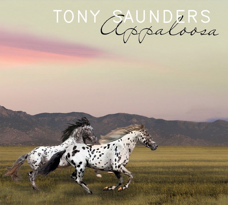 Appaloosa