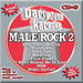 Party Tyme Karaoke: Male Rock 2