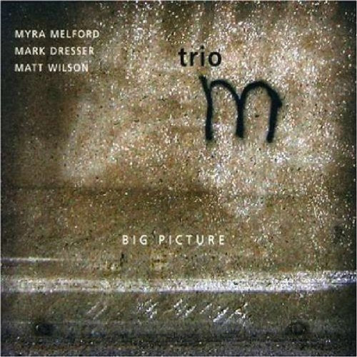 Big Picture With Mark Dresser