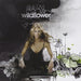 Wildflower
