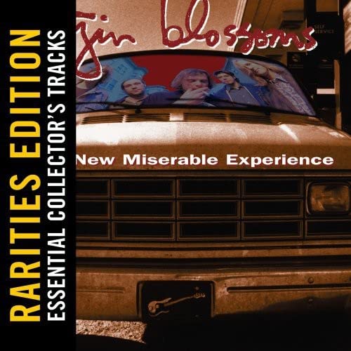 Gin Blossoms - New Miserable Experience (Rarities