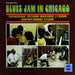 Blues Jam in Chicago 2