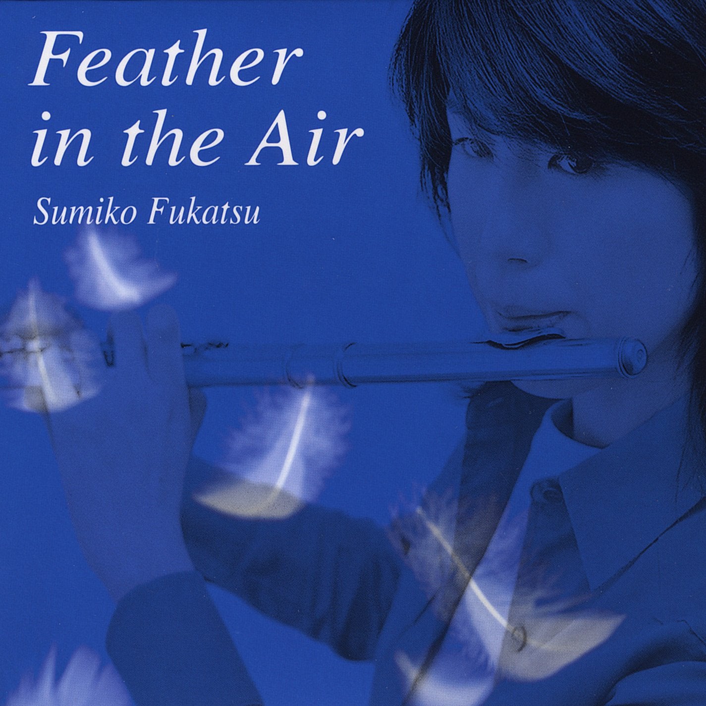 Feather in the Air