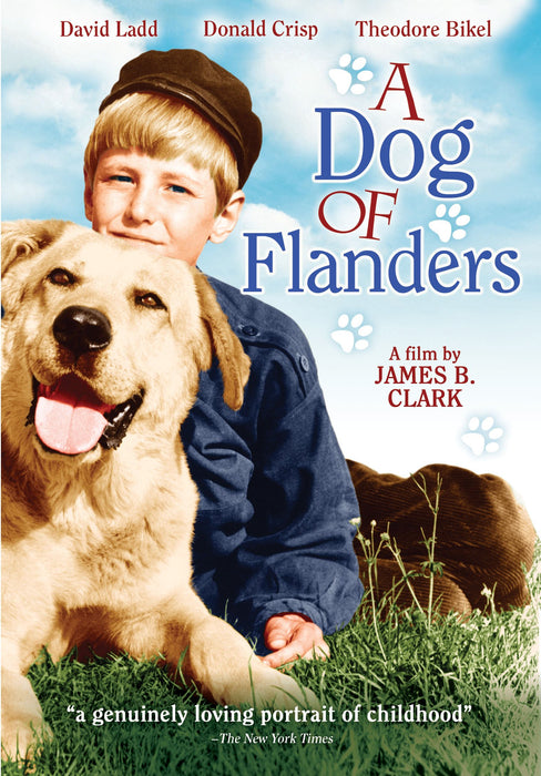 Dog of Flanders