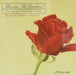 Single Petal of a Rose