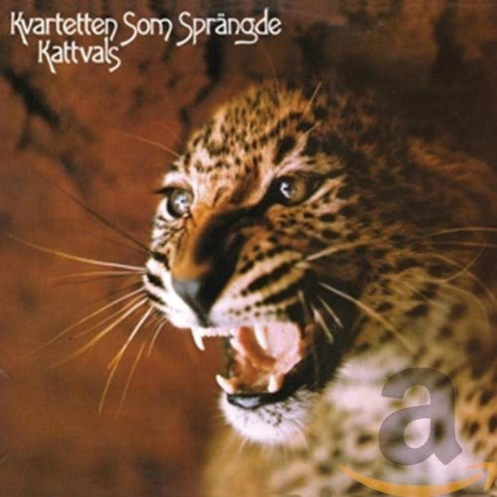 John James - Descriptive Guitar Instrumentals