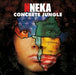 Concrete Jungle  Explicit Lyrics