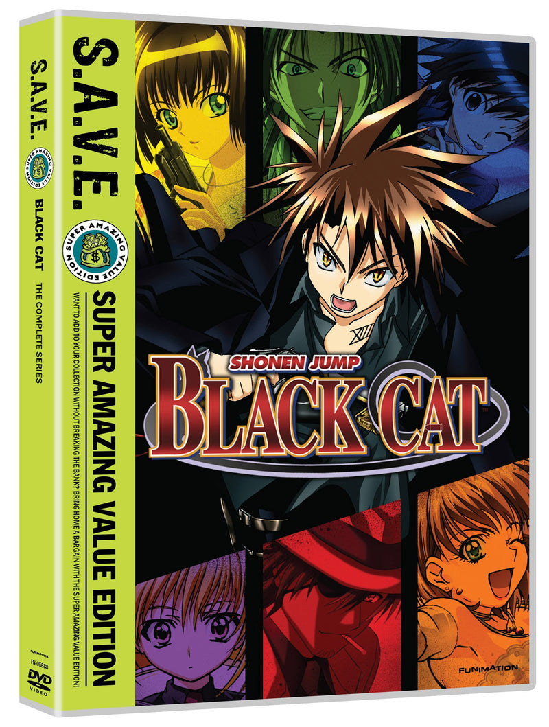 Black Cat