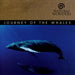 David Arkenstone-Journey Of The Whales