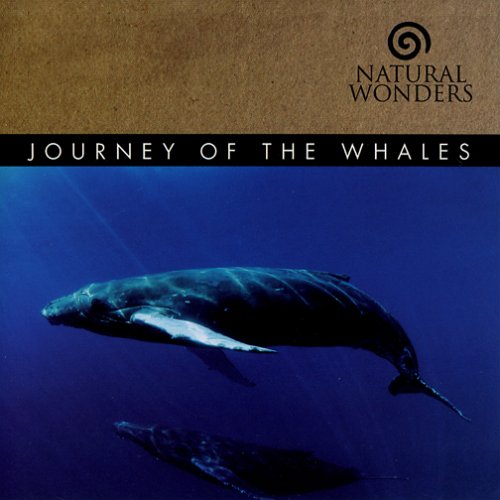 David Arkenstone-Journey Of The Whales