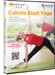 Corepower Yoga-Calorie Blast Yoga