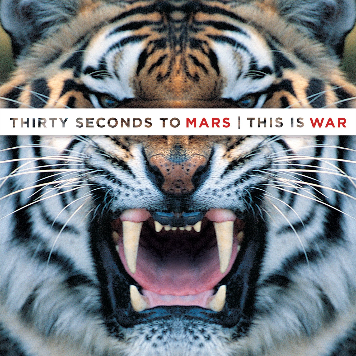 This Is War