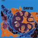 David