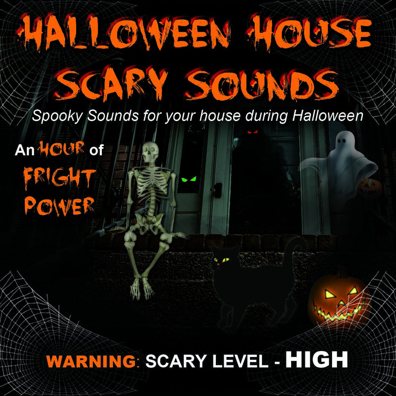 Halloween House Scary Sounds