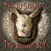 Bunny Boy