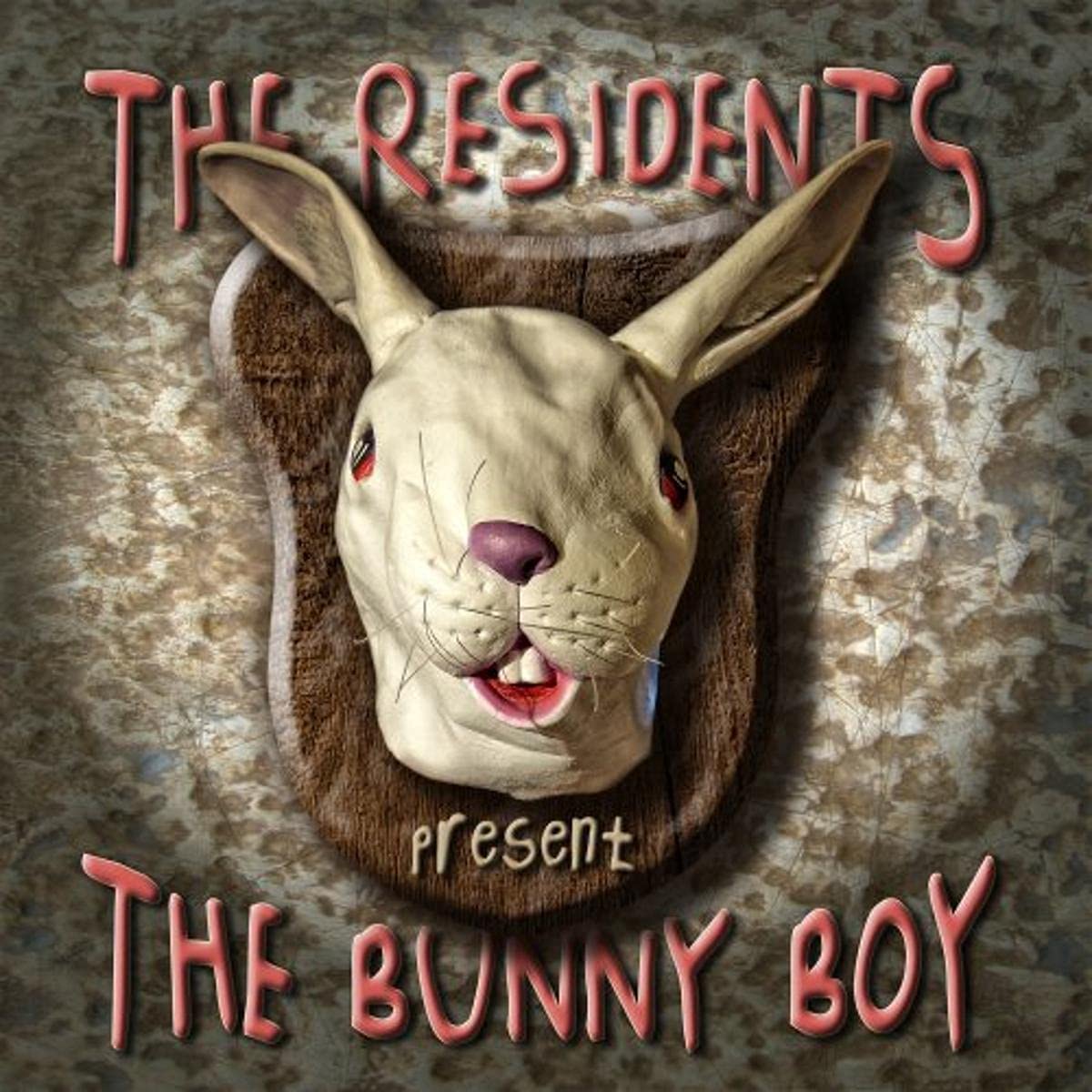 Bunny Boy