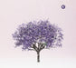 Eels-Tomorrow Morning