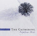 Gathering-Nighttime Birds (Dlx
