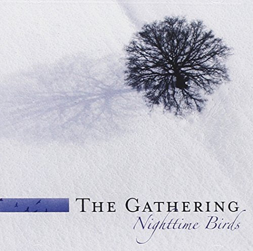 Gathering-Nighttime Birds (Dlx