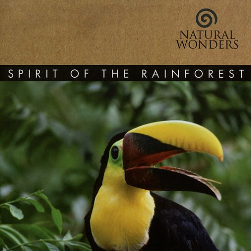 David Arkenstone-Spirit Of The Rain Forest