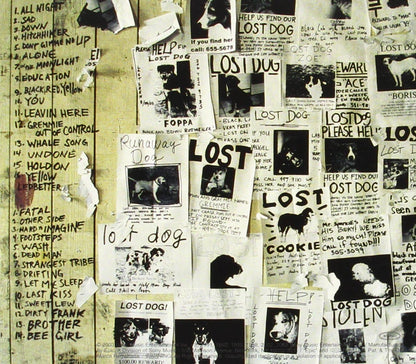 Lost Dogs