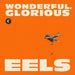 Wonderful Glorious
