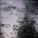 From the human forest create a fugue of imaginary rain