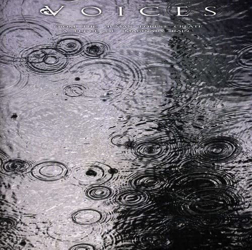 From the human forest create a fugue of imaginary rain
