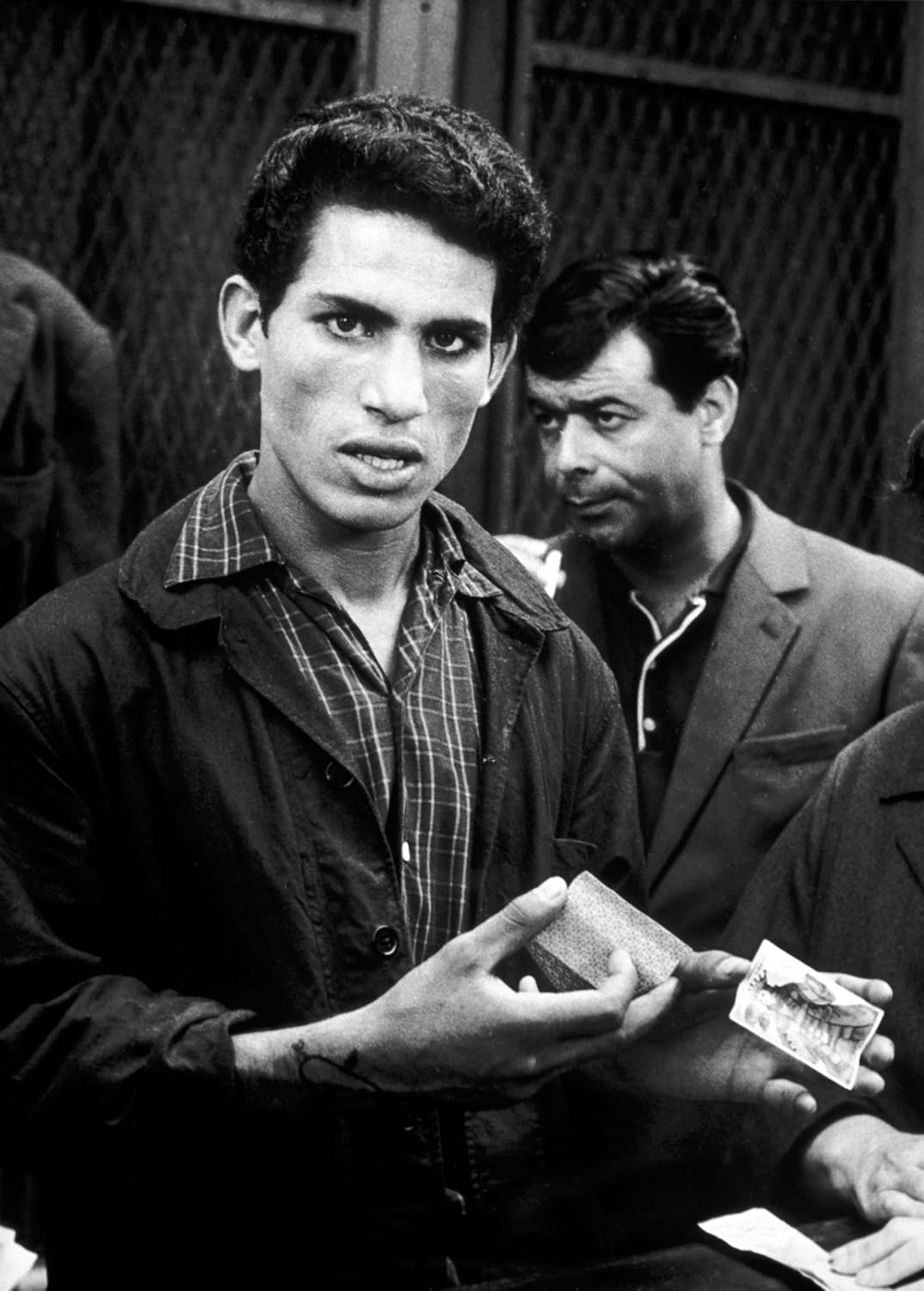 Criterion Collection: The Battle of Algiers