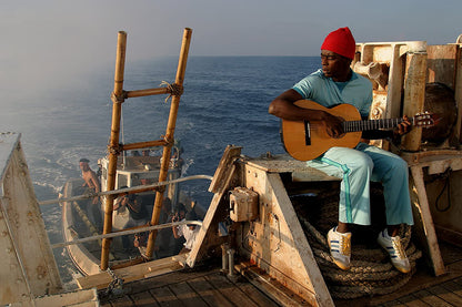 Criterion Collection: The Life Aquatic