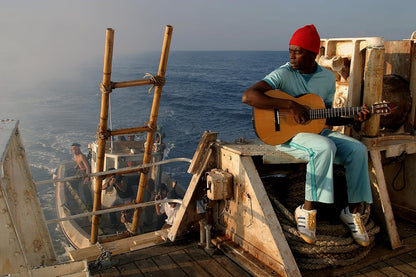Criterion Collection: The Life Aquatic