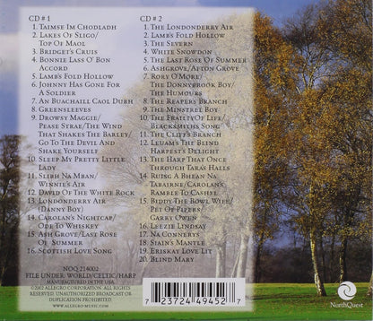 Celtic Spirit