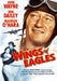 The Wings of Eagles