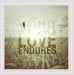 Your Love Endures