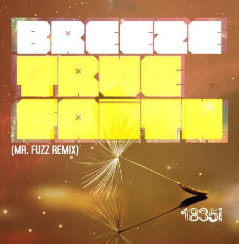 True Faith (Mr Fuzz Remix