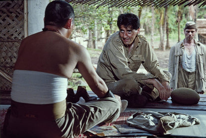 Criterion Collection: Merry Christmas Mr Lawrence