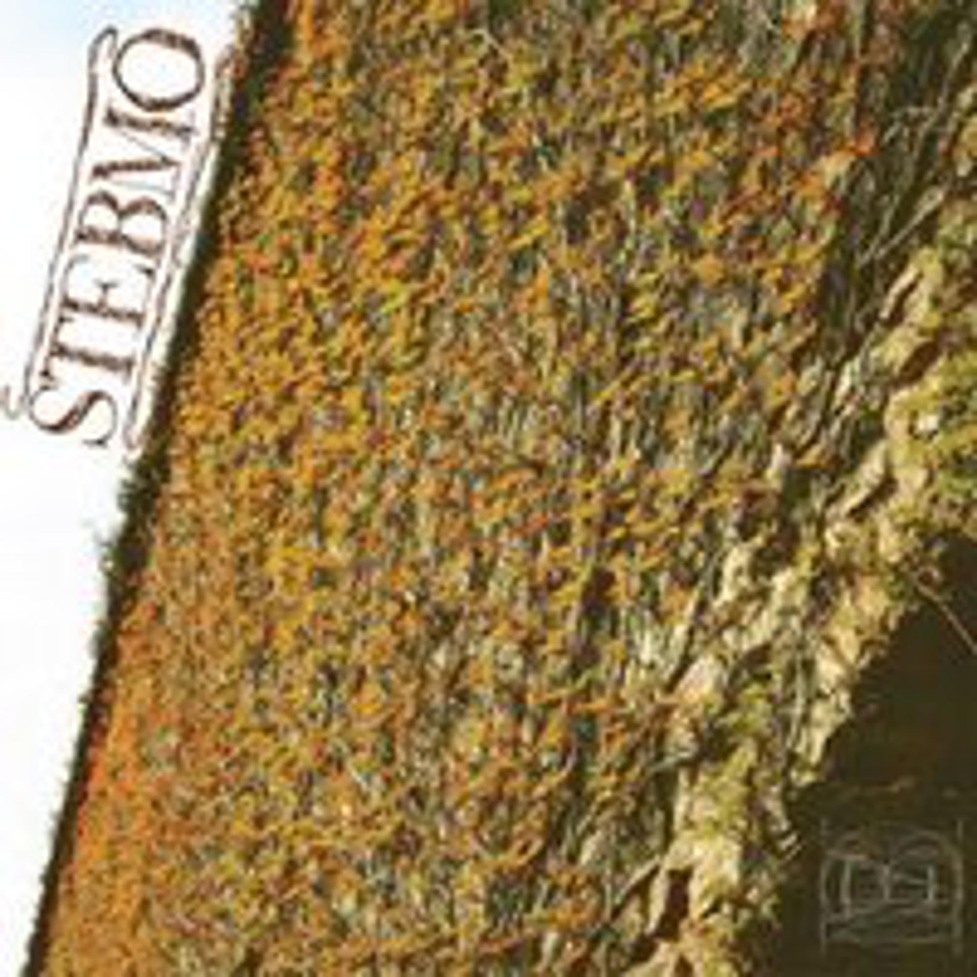 Stebmo-Stebmo